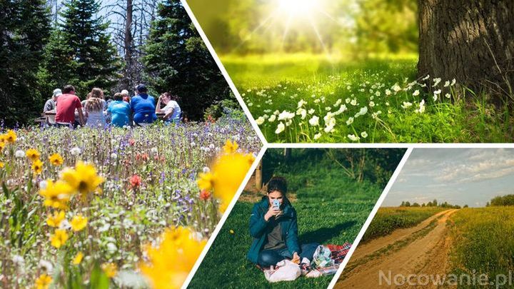Miejsca w Polsce na udany rodzinny piknik