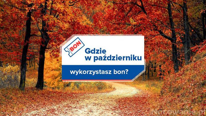 Gdzie w październiku wykorzystasz bon?