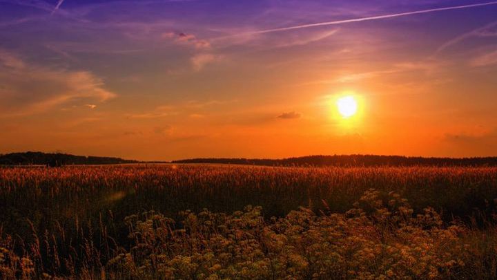 Pogoda na pierwszą połowę lipca 2019