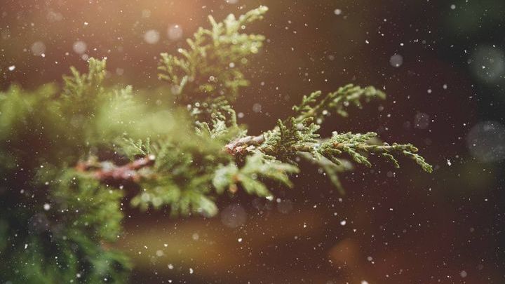 Pogoda na początek grudnia 2019