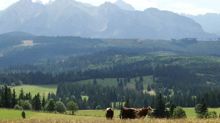 Małe Ciche - noclegi, które najchętniej polecają turyści