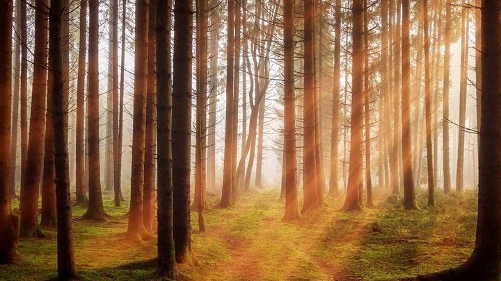 Pogoda na drugi tydzień października 2019