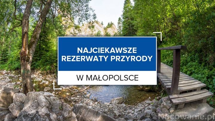 Najpiękniejsze rezerwaty przyrody w Małopolsce