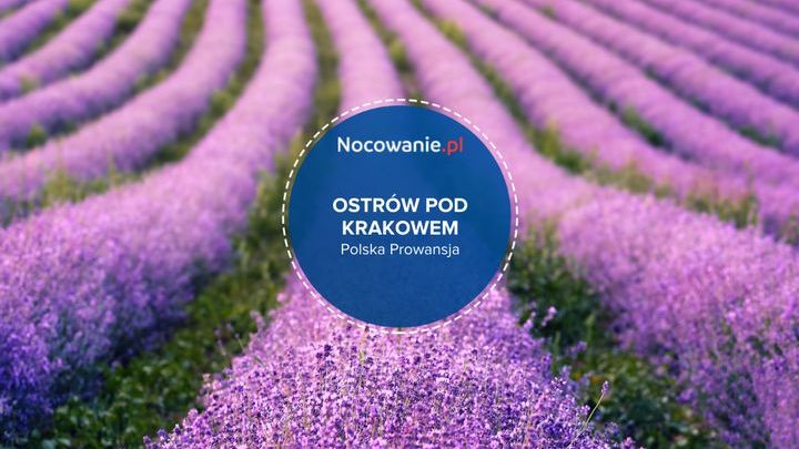 Ostrów pod Krakowem. Polska Prowansja