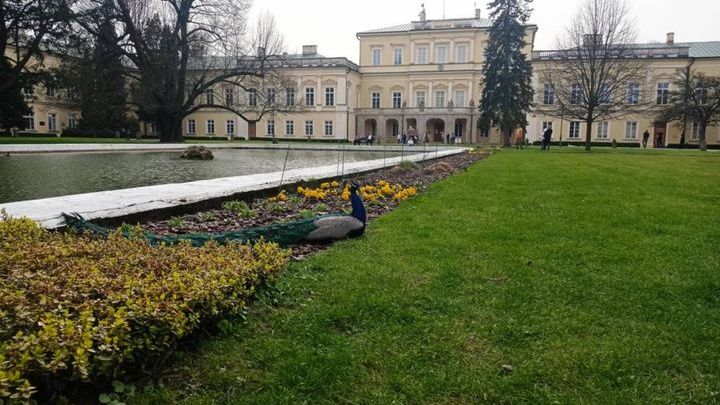 Wiosenny spacer po parku - Park Czartoryskich w Puławach