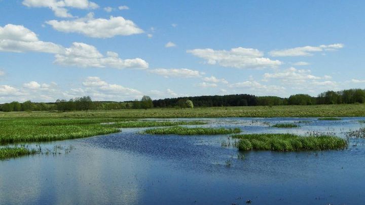 Podlaski Przełom Bugu wiosną - galeria zdjęć