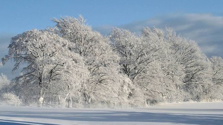 Pogoda na czwarty tydzień stycznia 2016