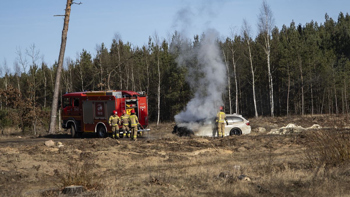Pożar auta na DK11 pod Piłą.