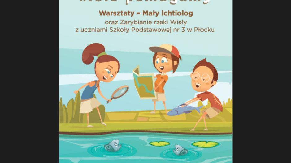 Zarybianie Wisły