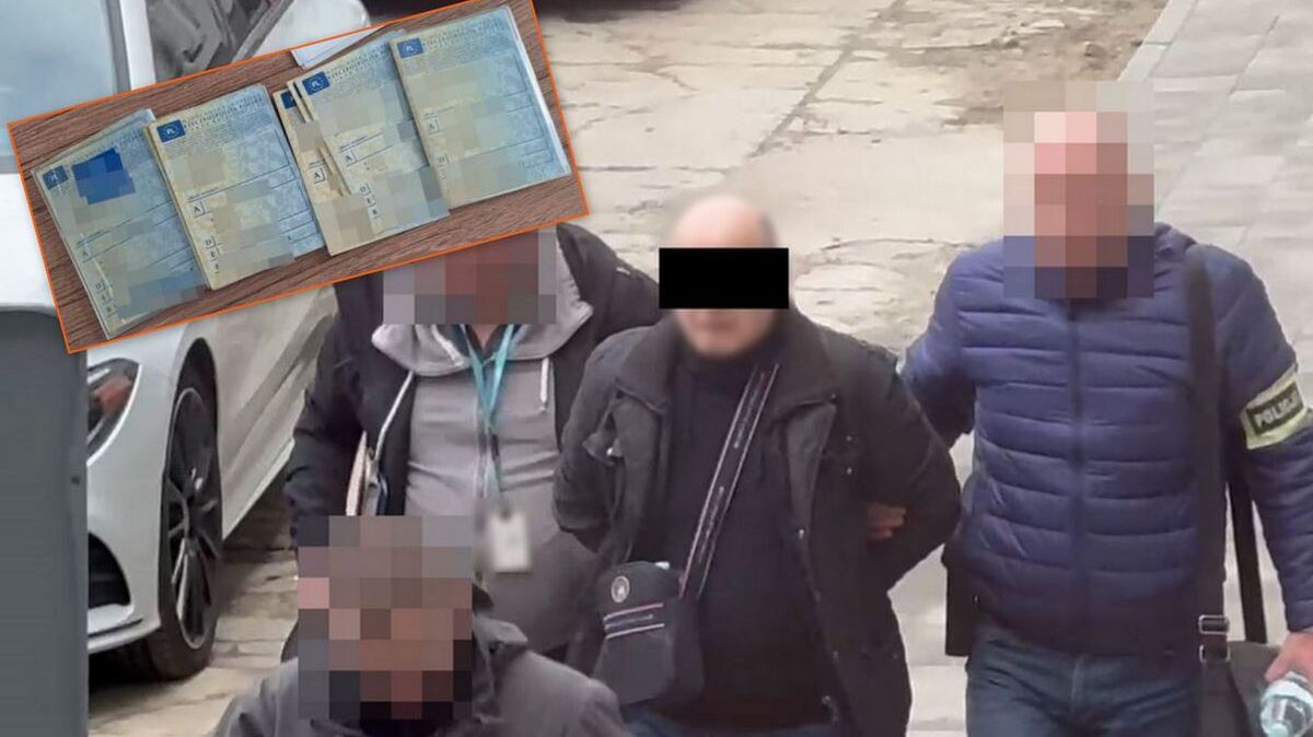 policja