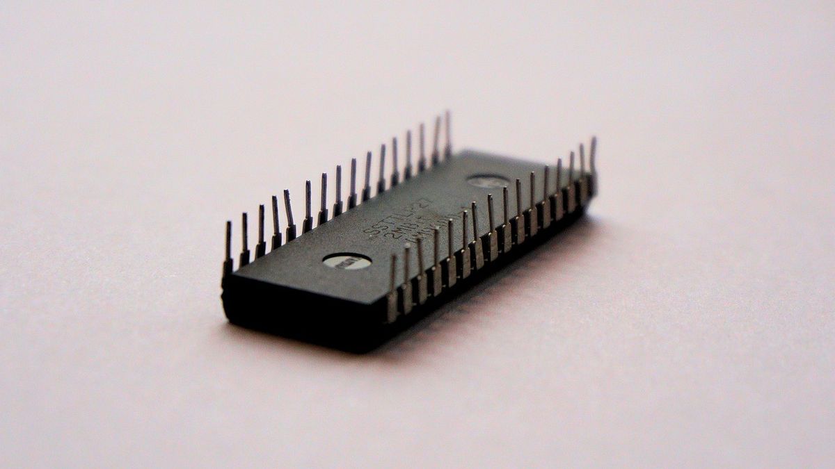 chip