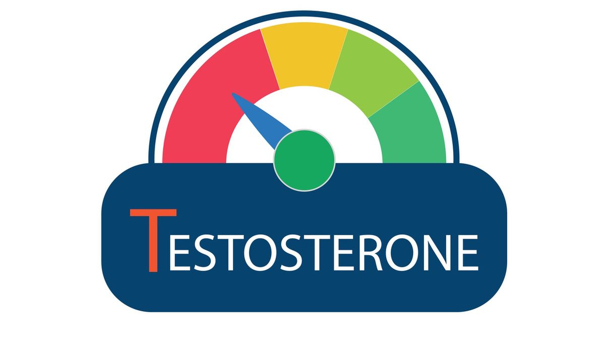 Wzrost testosteronu