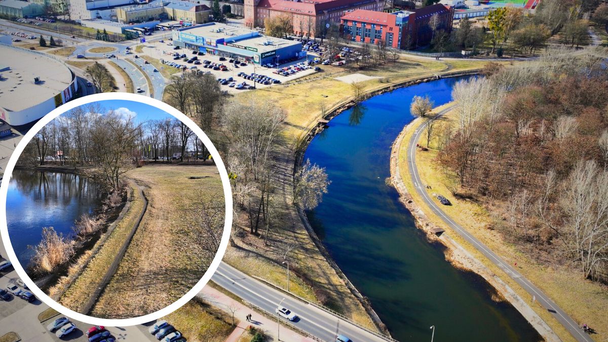 Ścieżka rowerowo-piesza