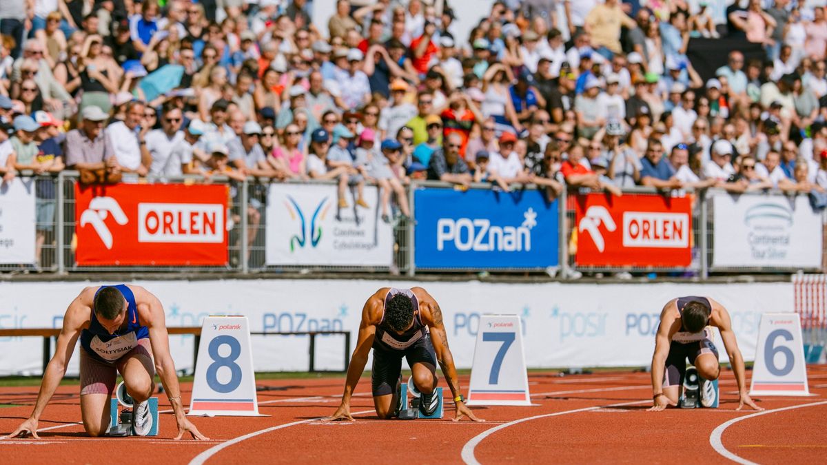 fot. mat. prasowe / A. Olszanowski