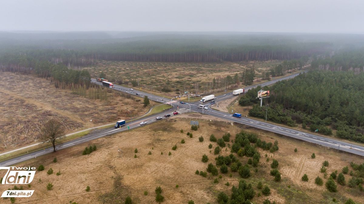 Wycinka, lasy, dk 10 , dk 11, s10