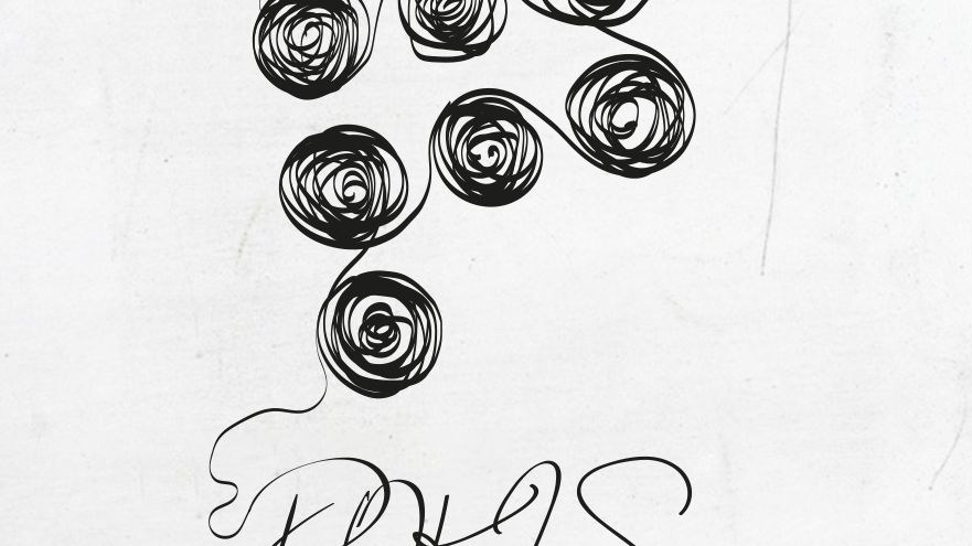 Płocki Ośrodek Kultury i Sztuki im. Themersonów