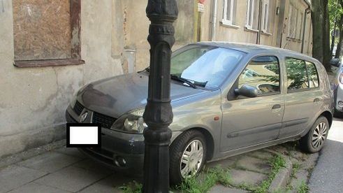 Mistrzowie parkowania w akcji 