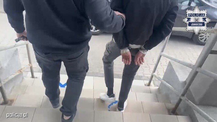 policja