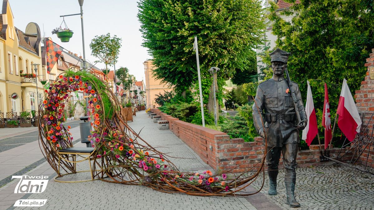 Festiwal Kwiatów w Czarnkowie, florysta, kwiaty, Czarnków