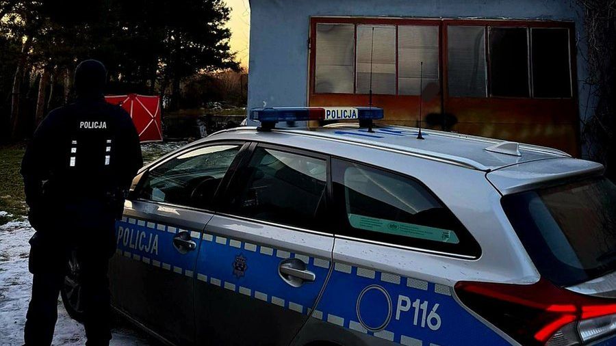 policja