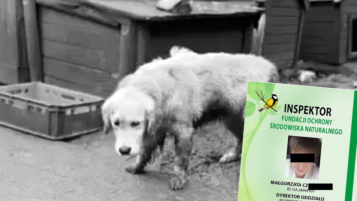 Oskarżona o znęcanie się nad zwierzętami i ochrona środowiska?