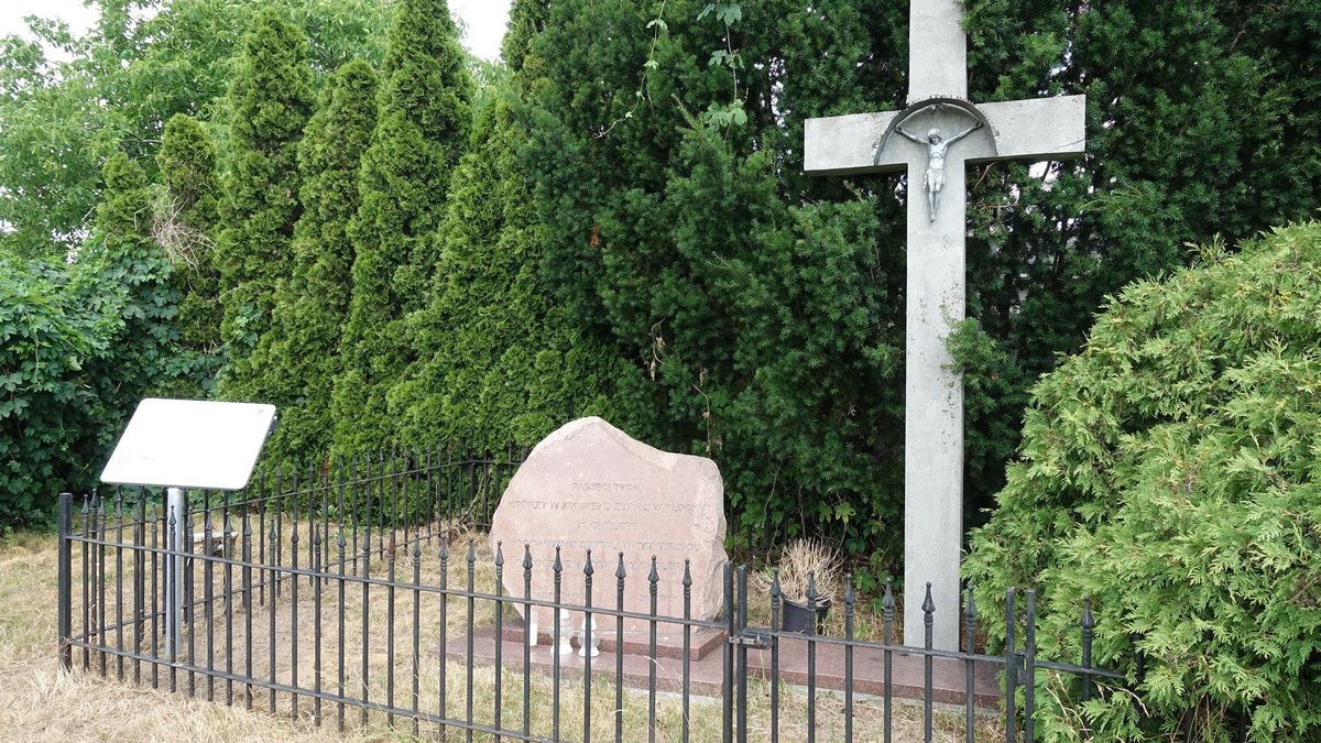 Cholerka czy Grabówka?