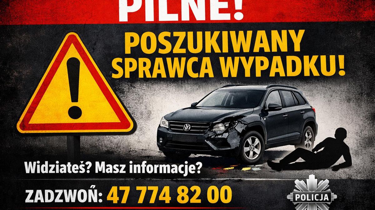 Poszukiwania sprawcy wypadku