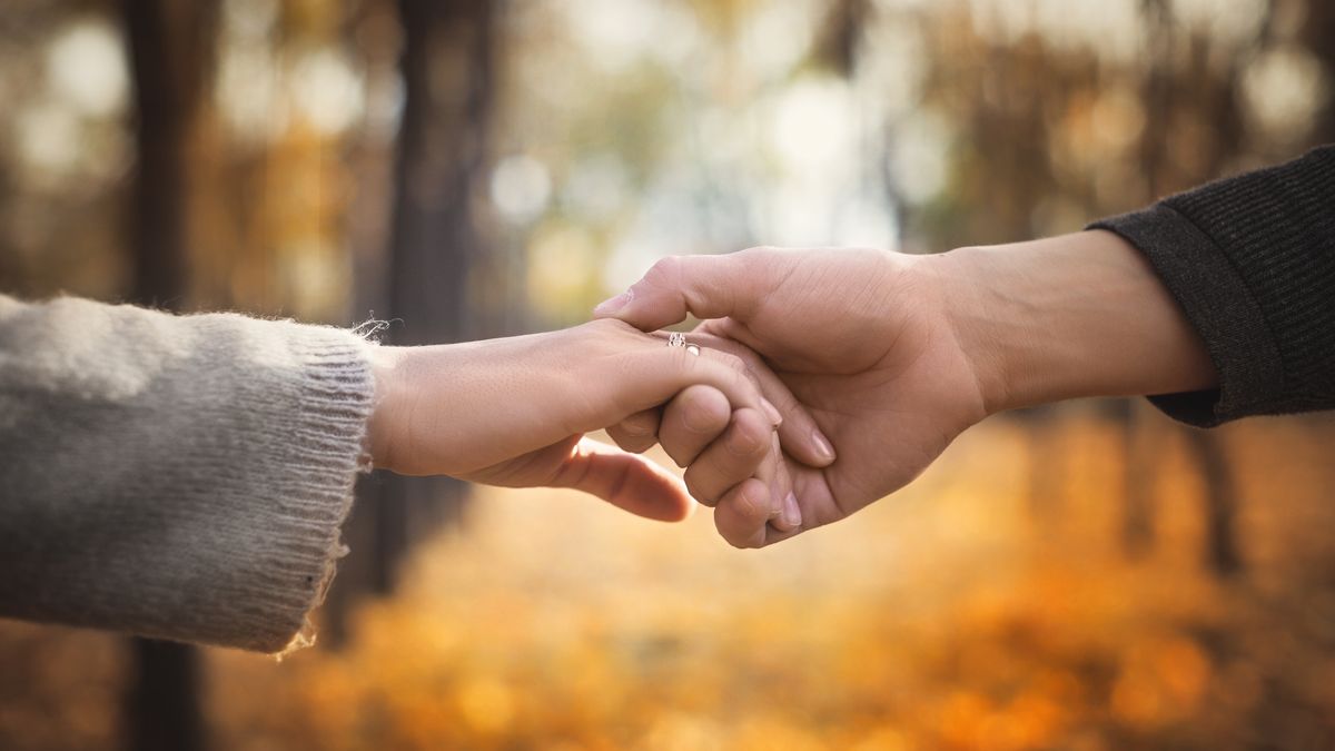 Close-up of a couple in love holding hands while walking. Selective focus
Close-up of a couple in love holding hands while walking. Selective focus.
ChekhovskoyRoman
couple, hand, woman, man, family, lover, autumn, romance, love, nature, people, togetherness, romantic, girlfriend, wife, holding, boyfriend, fall, together, female, hands, happy, happiness, two, male, husband, dating, outdoor, closeup, passion, feeling, park, relationship, arms, golden, selective focus, married, couple, hand, woman, man, family, lover, autumn, romance, love, nature, people, togetherness, romantic, girlfriend, wife, holding, boyfriend, fall, together, female, hands, happy, happiness, two, male, husband, dating, outdoor, closeup, passion, feeling, park, relationship, arms, golden, selective focus, married