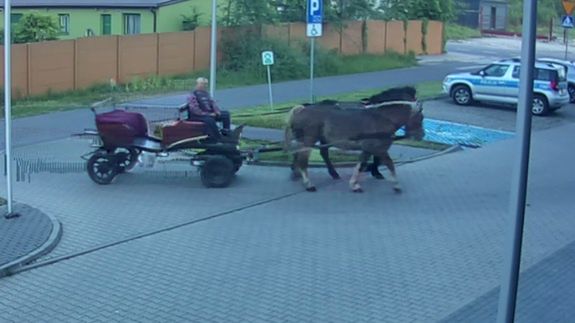policja