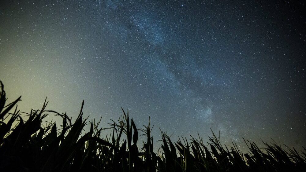 Droga mleczna nadpolem kukurydzy
�ukasz Ogrodowczyk
astronomia, droga mleczna, GWIAZDA, GWIAZDY, ilustracja, ilustracje, ilustracyjna, kosmos, krajobraz, kukurydza, milky way, mleczna, Niebieskie, NIEBO, niebosklon, NOC, POLE, rola, WIDOK, WIELKOPOLSKA