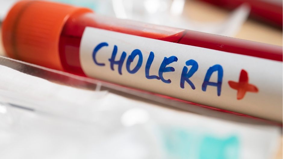 cholera choroba
