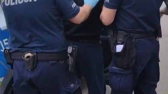 policja