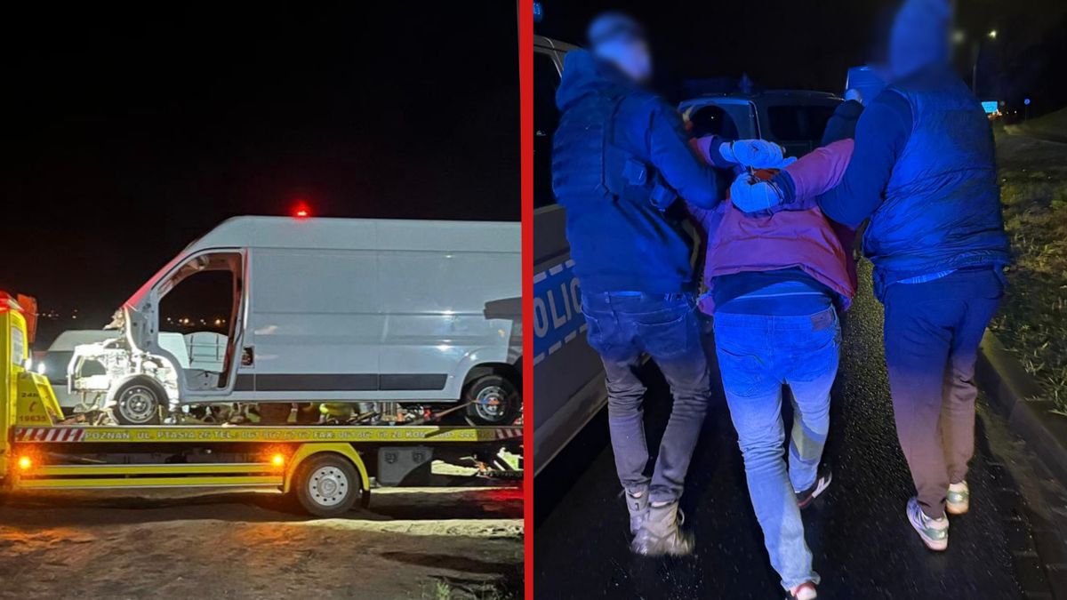 Zatrzymania złodziei busów