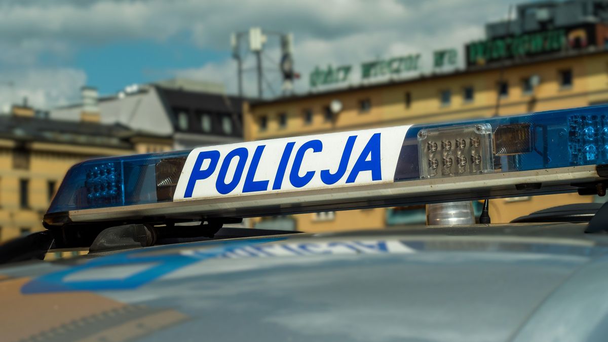 fot. poglądowa