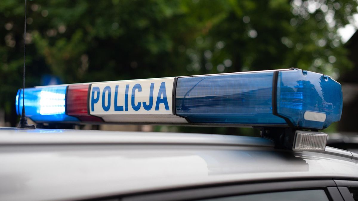 policja