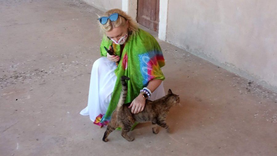 kot w monasterze Arkadii Moni Arkadiu