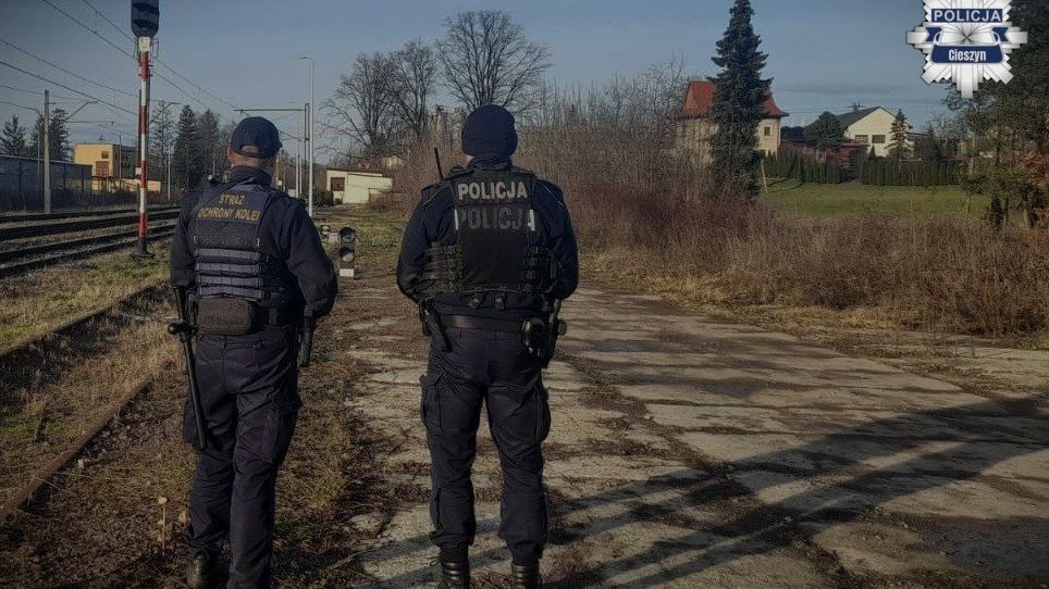 policja
