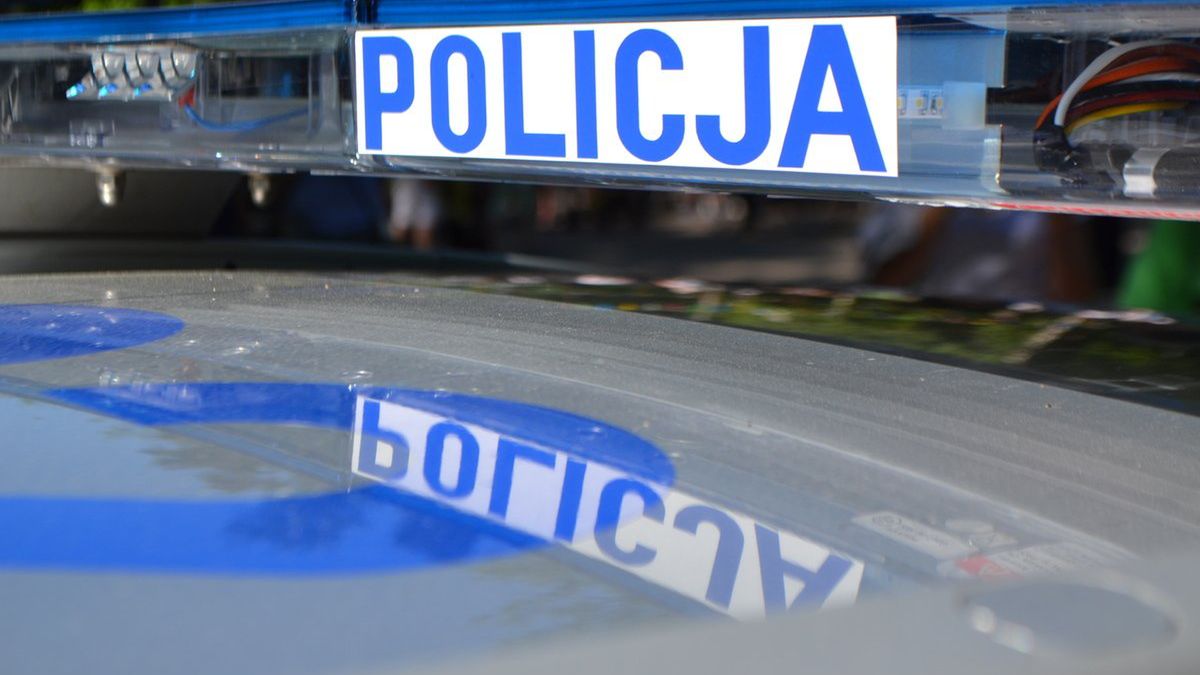 policja