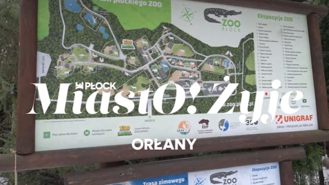 Kolejny odcinek programu 