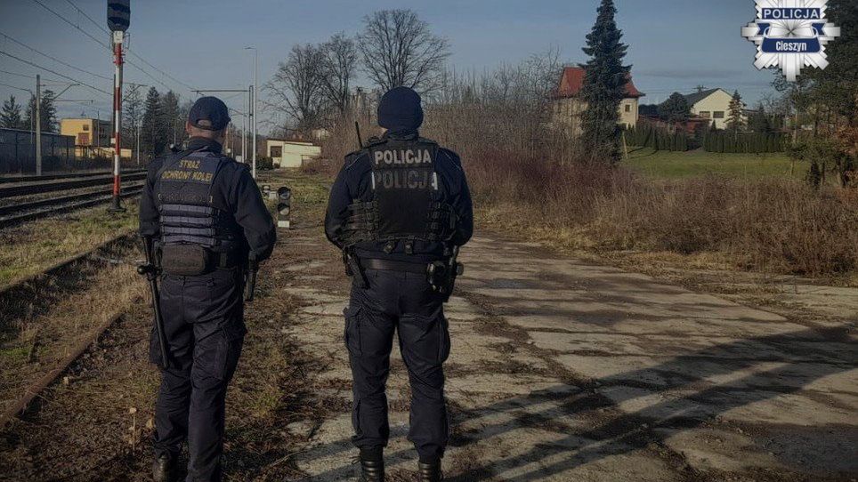 policja