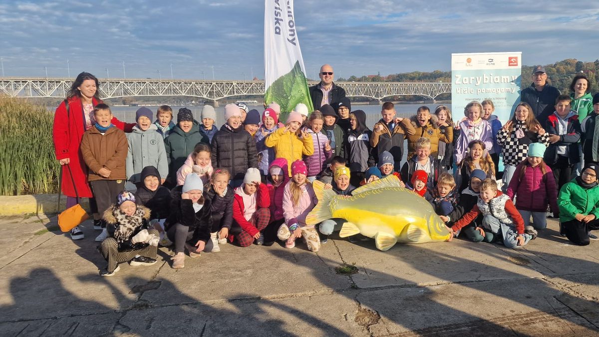 Zarybianie Wisły 
