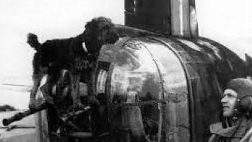 Pies Ciapek. Fot. domena publiczna