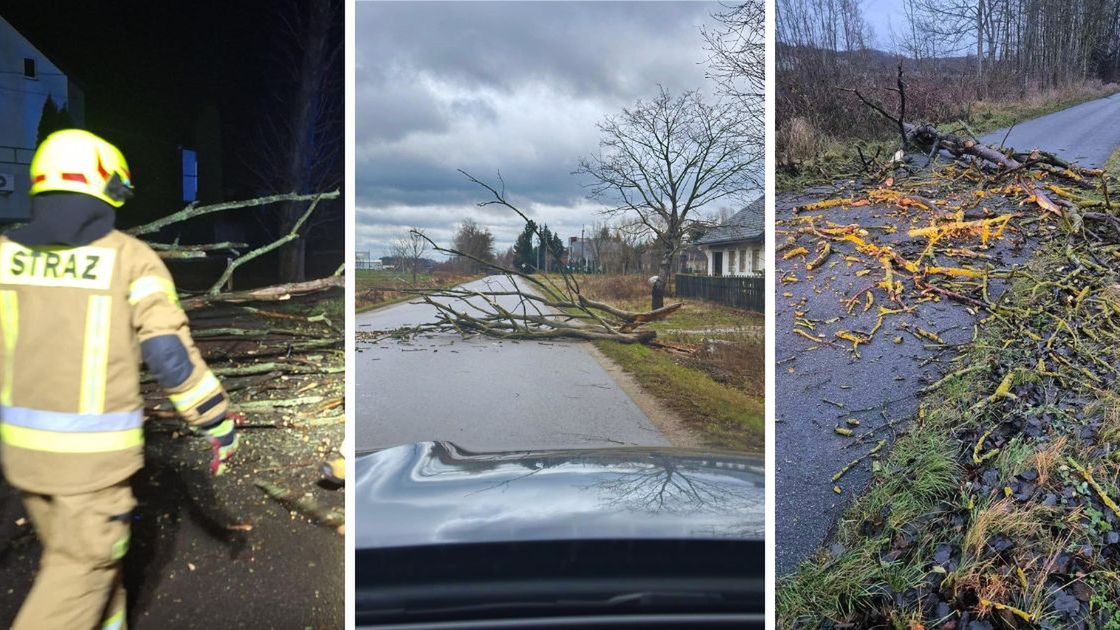 Interwencje w regionie