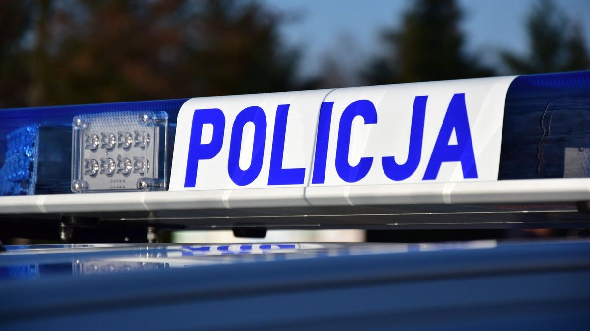 policja