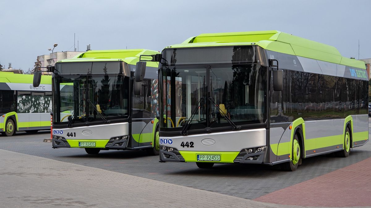 Piła, MZK, autobusy