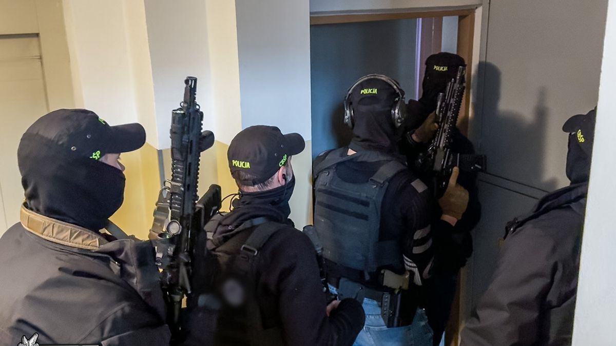 policja