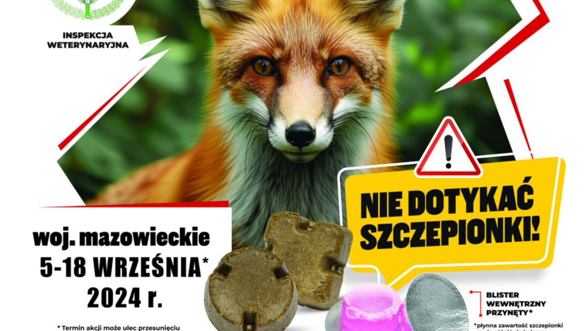 Jesienna akcja szczepień ochronnych lisów wolno żyjących przeciw