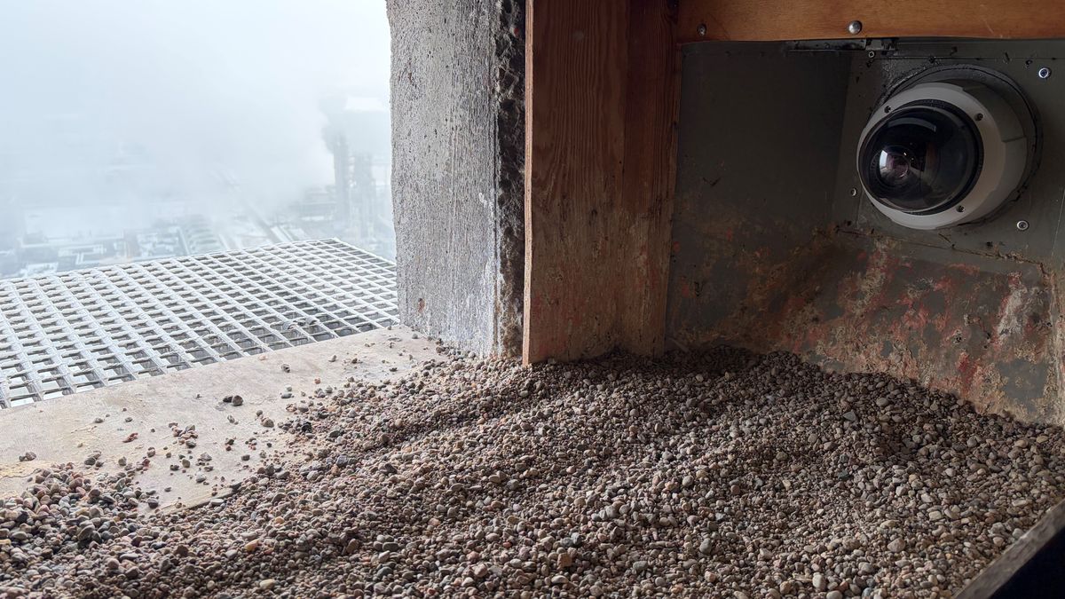 Budki lęgowe gotowe na przyjęcie lokatorów

