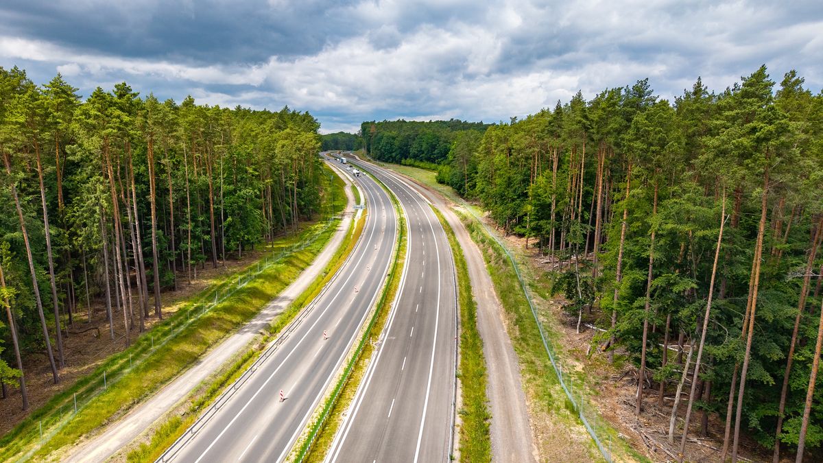S3 na terenie Wolińskiego Parku Narodowego.jpg