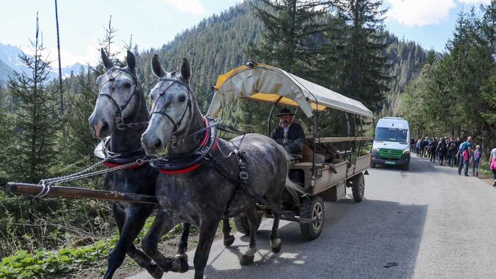 bryczka, konie, konna, Morskie Oko, odpoczynek, koniki 